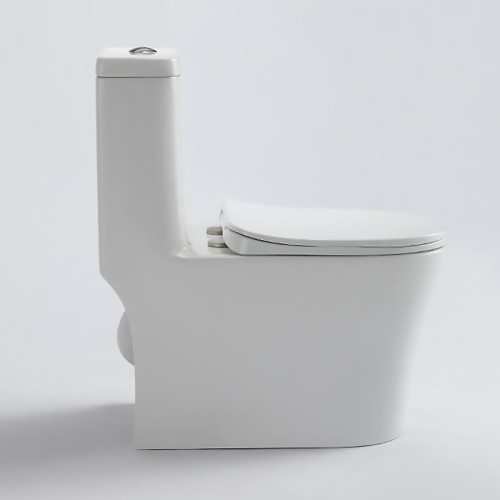 Contemporary Back to Wall Floor Mounted Toilet 