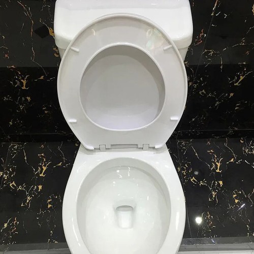 Ultra High Efficiency 0.8 GPF Single Flush Toilet