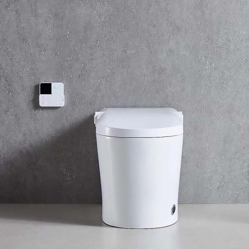 Hygienic Tankless Floor Mounted Toilet for Hotel, Shopping Mall, Hospital 