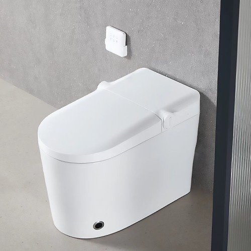 Hygienic Tankless Floor Mounted Toilet for Hotel, Shopping Mall, Hospital