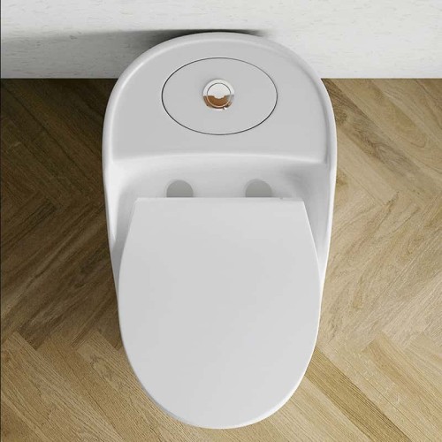 Ceramic Floor Mounted Western Toilet