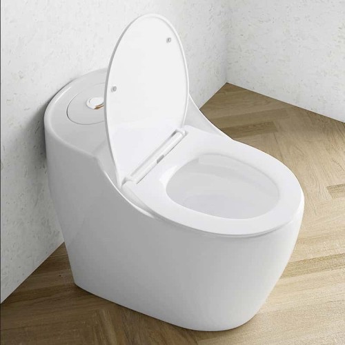 Ceramic Floor Mounted Western Toilet 