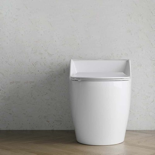 Ceramic Floor Mounted Western Toilet