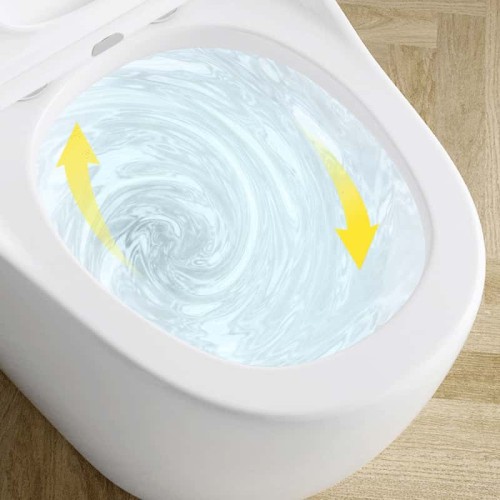 Ceramic Floor Mounted Western Toilet