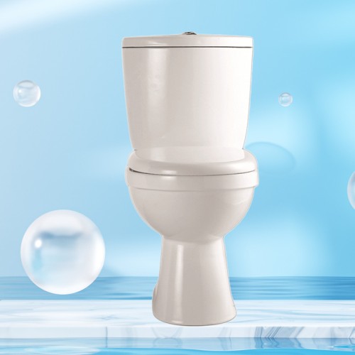 Floor Mount Rear Outlet Toilet