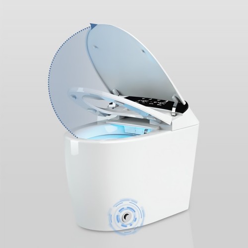 Intelligent Toilet With Large Toilet Seat