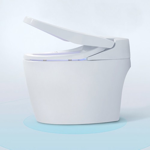 Heated Seat Bidet Toilet with Warm Water, Dryer and Remote