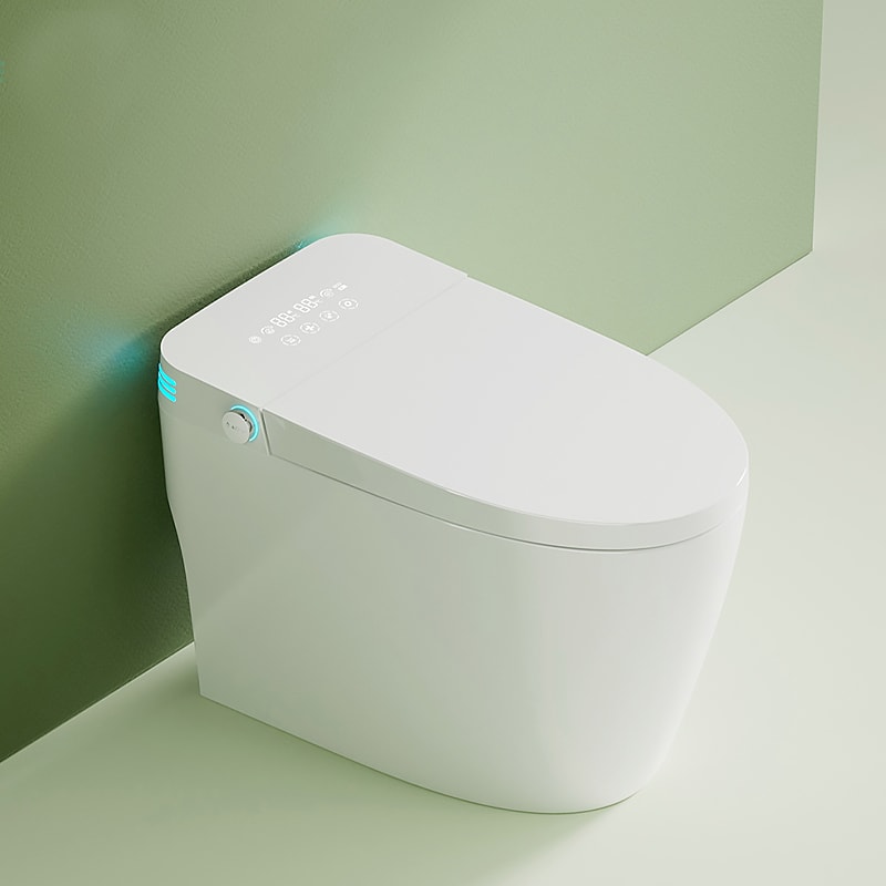 Splash Guard Low Flow Toilet