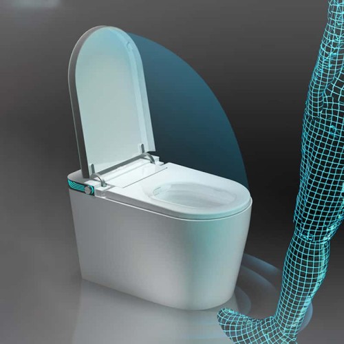 Self-Cleaning Smart Toilet