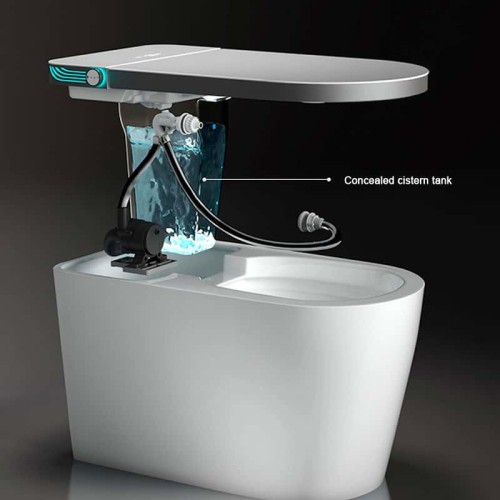 Self-Cleaning Smart Toilet