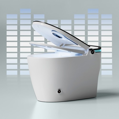 Warm Water Bidet Toilet