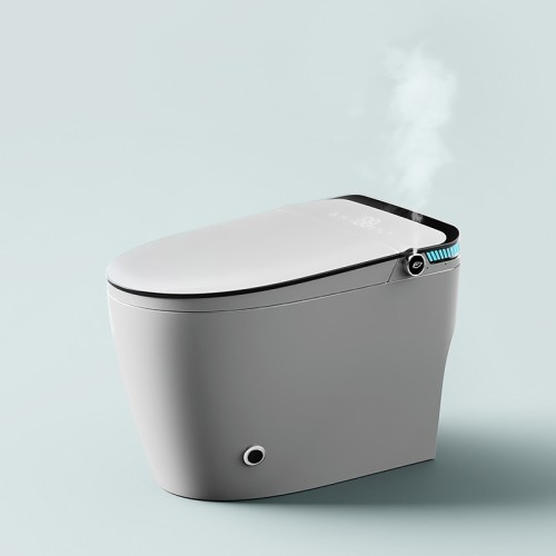 Warm Water Bidet Toilet 