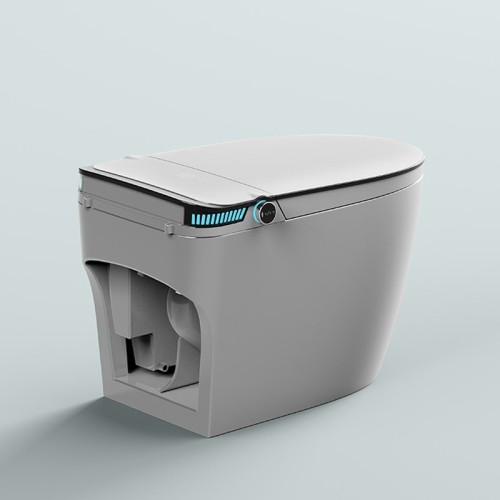 Warm Water Bidet Toilet