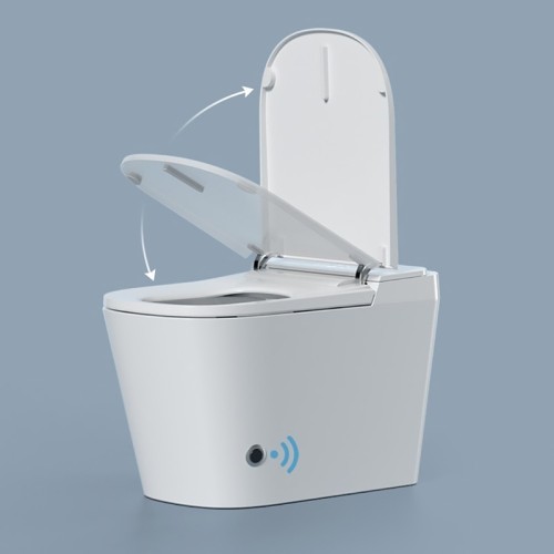 Electric Floor Mounted Tankless Toilet 