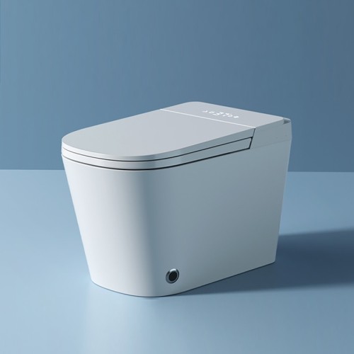 Electric Floor Mounted Tankless Toilet  