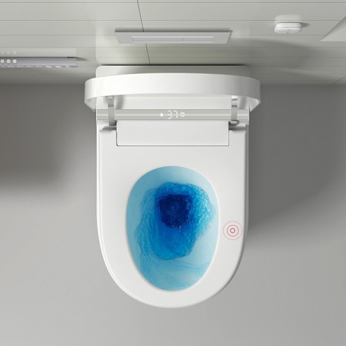 Wall Hung One Piece Toilet