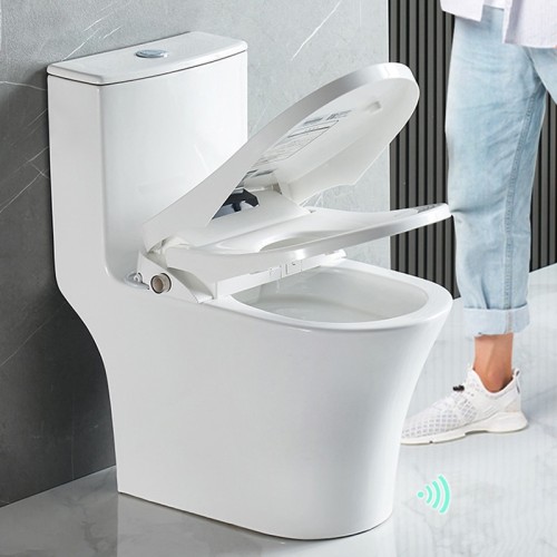 Japanese Toilet Bidet With Dryer