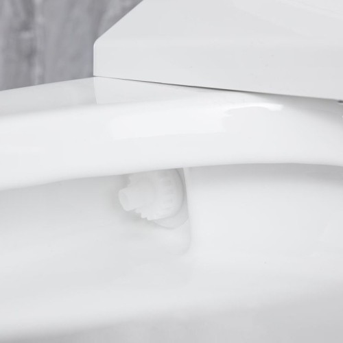 One-Piece Elongated Smart Toilet