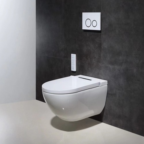 Wall Hung Toilet Bidet Combo 