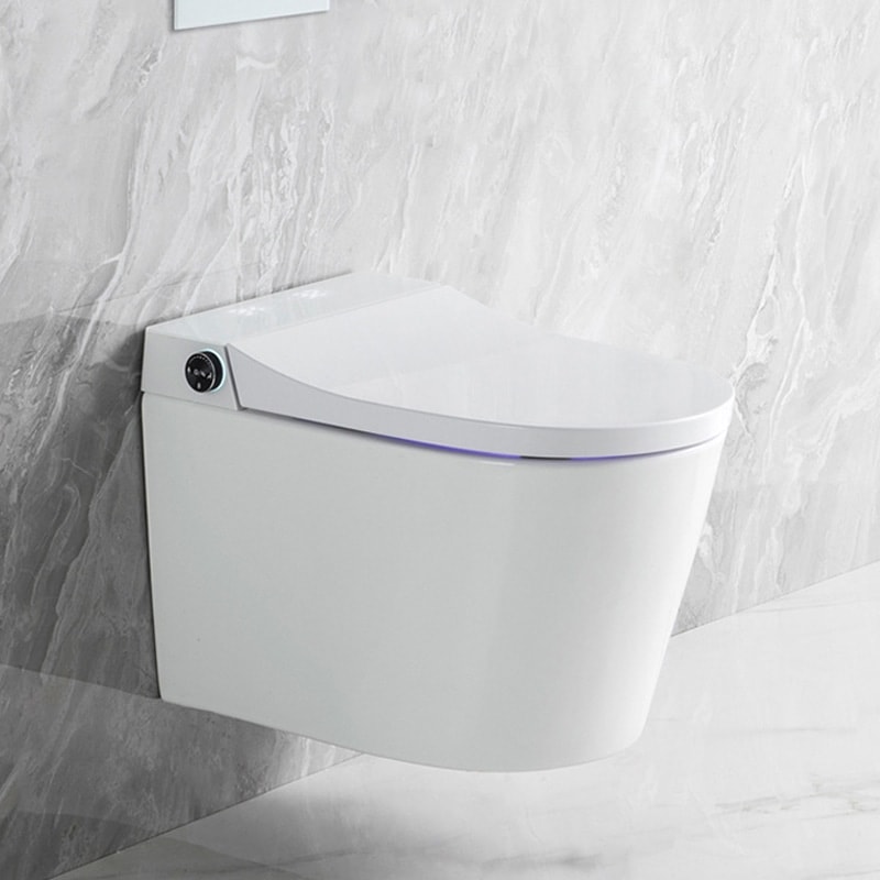 Modern Smart One Piece Dual Flush Toilet