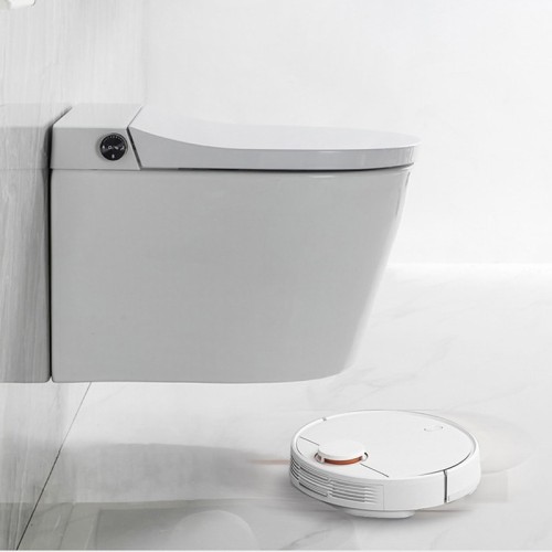 Modern Smart One Piece Dual Flush Toilet