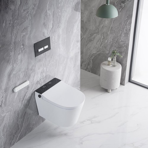 Modern Smart One Piece Dual Flush Toilet