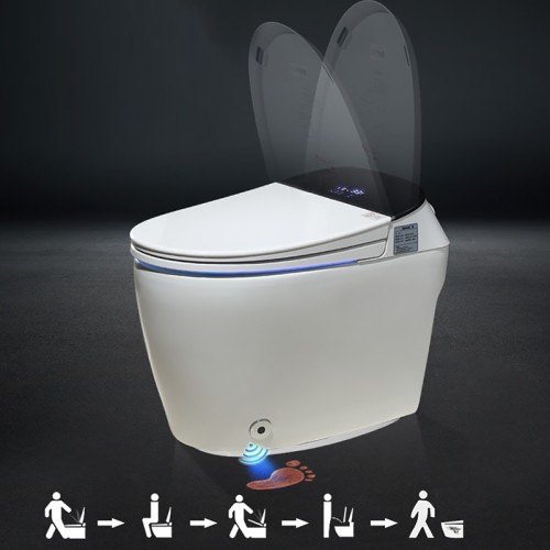 Modern Rimless Smart Bidet Toilet