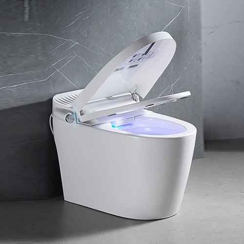 Water Efficient Toilet Bowl