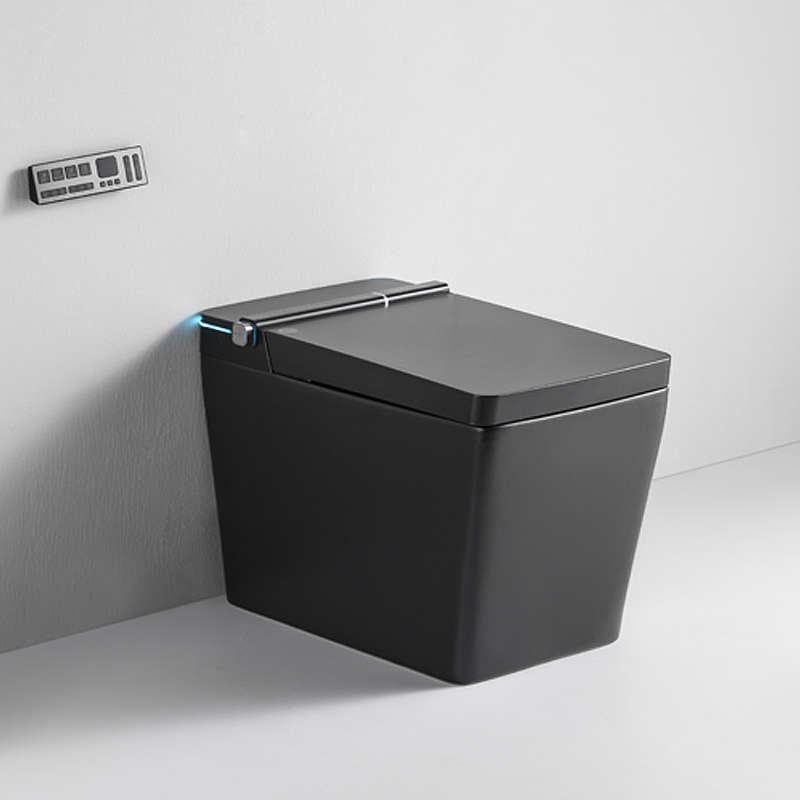 Black Tankless Toilet With Bidet