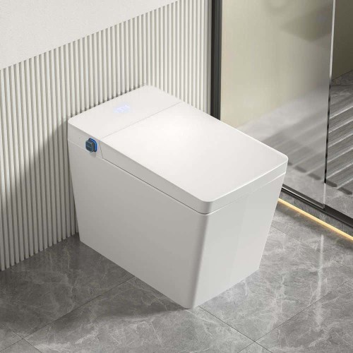 Intelligent Toilet with Automatic Cover