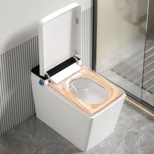 Intelligent Toilet with Automatic Cover