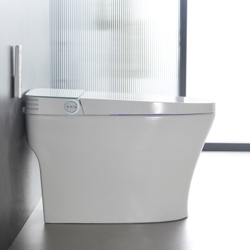 Stylish Streamline Toilet With Light