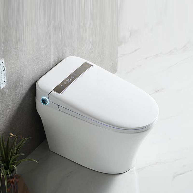 Back to Wall Bidet Toilet Combo