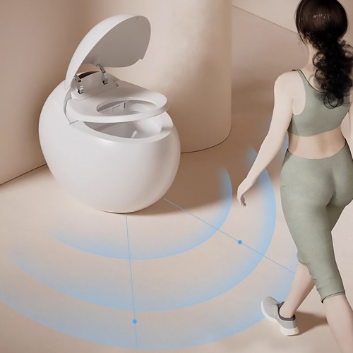 Oval Pulse Toilet With Built-in Tank for Low Water Pressure