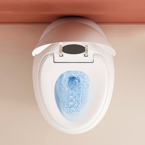 Oval Pulse Toilet With Built-in Tank for Low Water Pressure