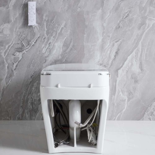 Smart One Piece Toilet