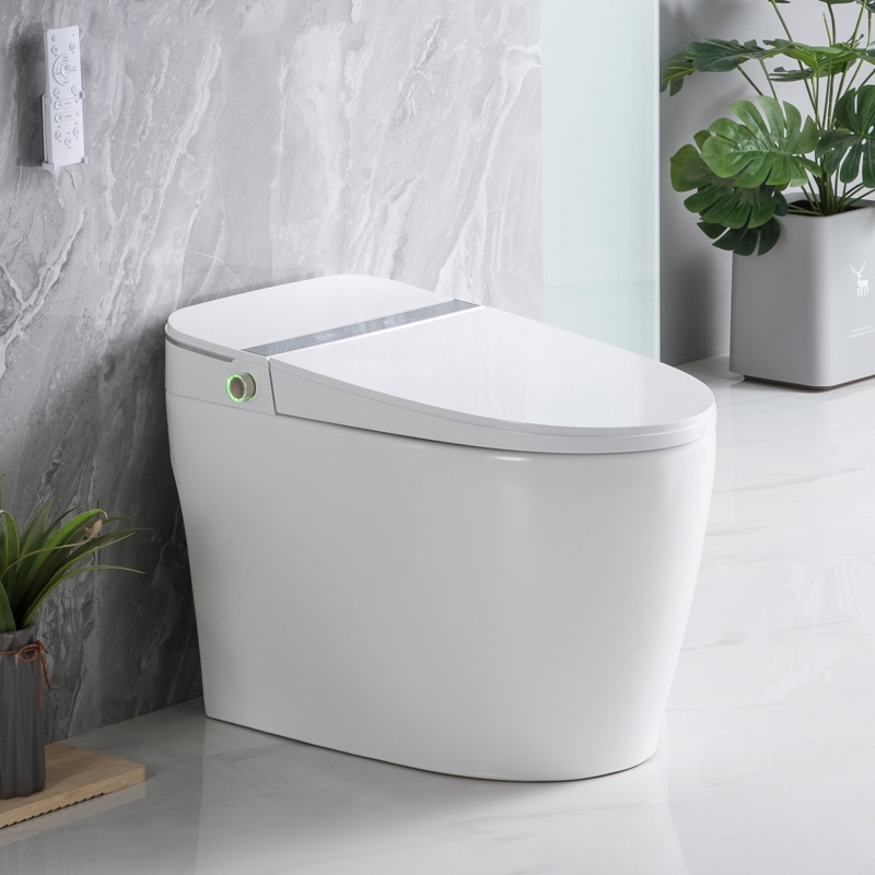 Smart One Piece Toilet