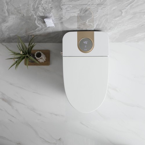 Floor Mounted Smart Toilet Bowl