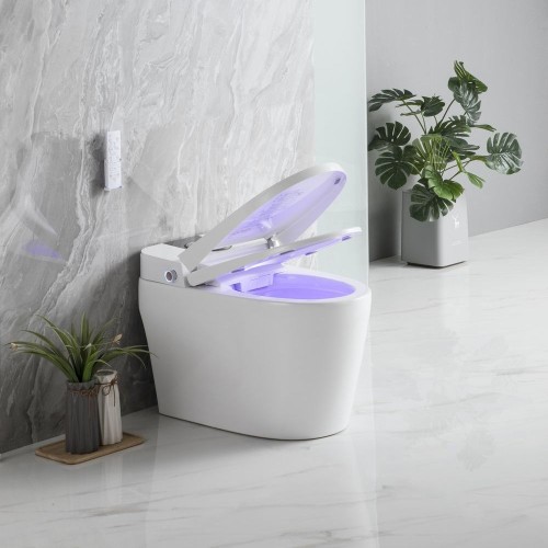 Floor Mounted Smart Toilet Bowl