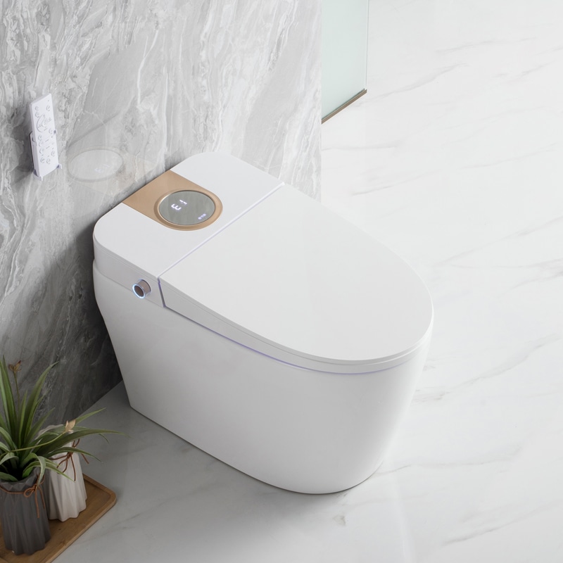 Floor Mounted Smart Toilet Bowl