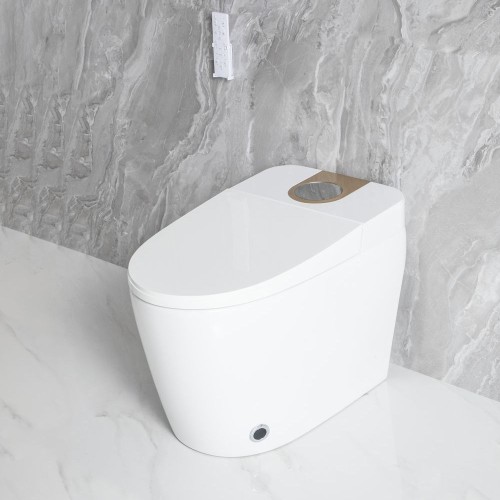 Floor Mounted Smart Toilet Bowl