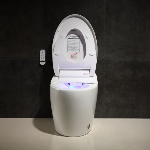 Luxury Design Hotel Smart Toilet