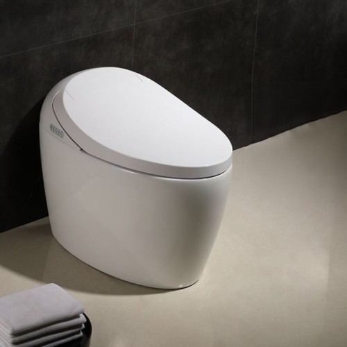 Luxury Design Hotel Smart Toilet 