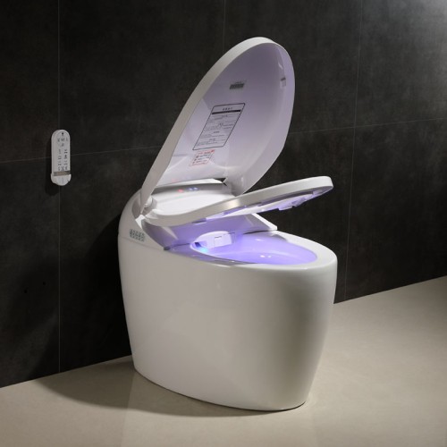 Luxury Design Hotel Smart Toilet