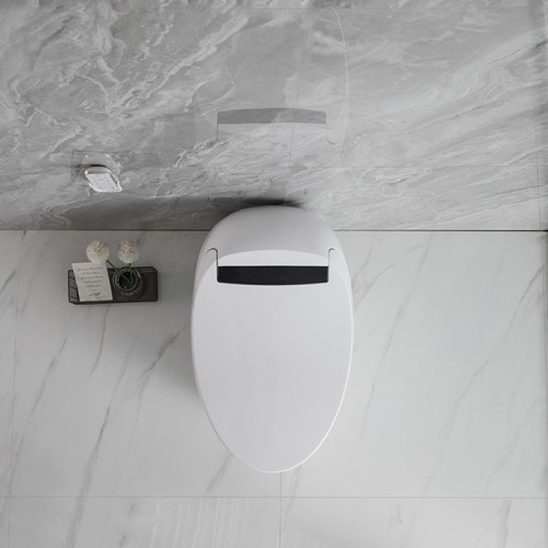 Compact Design Smart Toilet