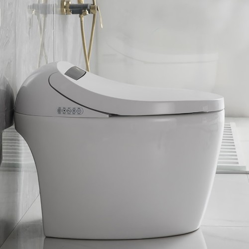 Compact Design Smart Toilet 