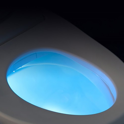 Bidet-Integrated Smart Toilet Supplier