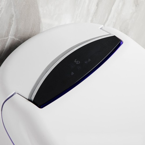 Bidet-Integrated Smart Toilet Supplier