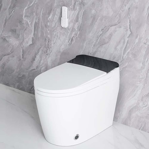 Modern Design Electric Smart Toilet