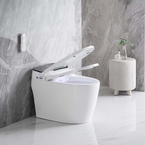 Modern Design Electric Smart Toilet 